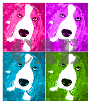 Colorful Basset