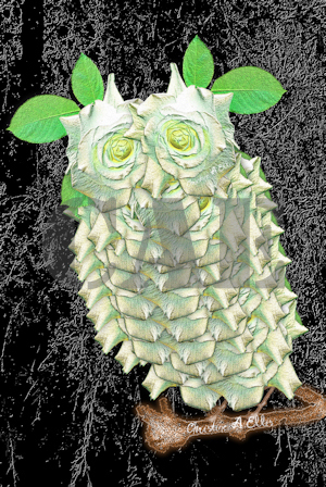 Rosey Owl